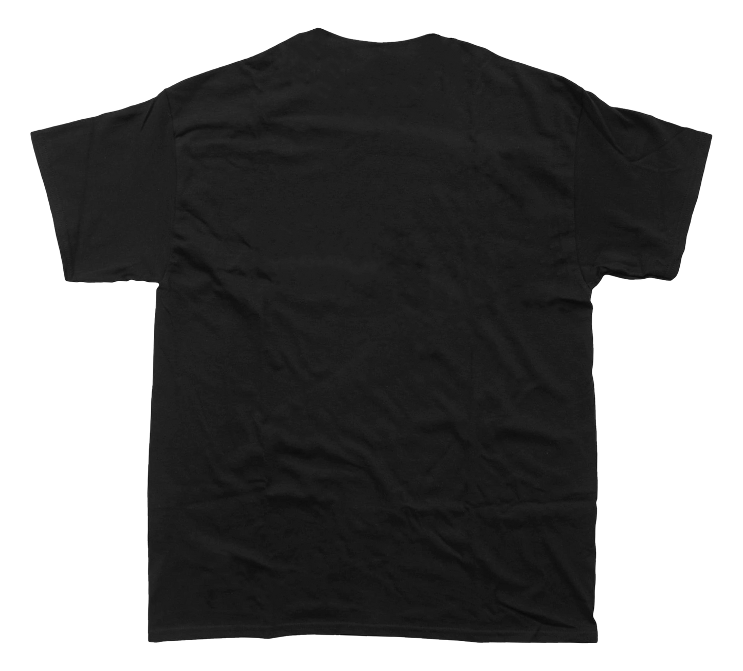 LANA DEL REY T-SHIRT